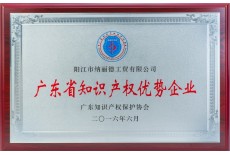 廣東省知識產權優秀企業