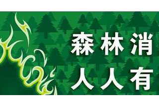 【聚焦】山東省計劃五年內投入84億元 提高森林防火能力