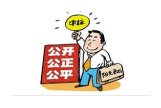 政府招投采購“黑洞”需長效機制“修補”