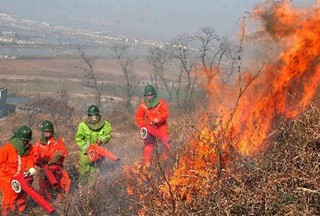 【大數據】森林火災頻發  森林消防裝備招標統計