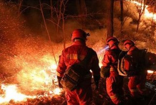 【消防采購大數據】滅火裝備標訊匯總（2020第一季度）
