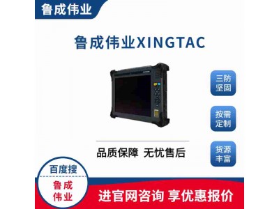 國產手持10寸工業加固平板電腦