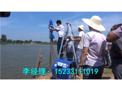 河北五星鋼管植樁機，抗洪搶險救援打樁機型號及參數