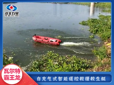 河北五星“瓦爾特.霸王龍”自展式智能救生艇