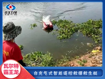 河北五星“瓦爾特.霸王龍”自充氣式智能救生舟
