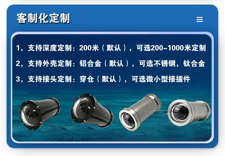C110_10