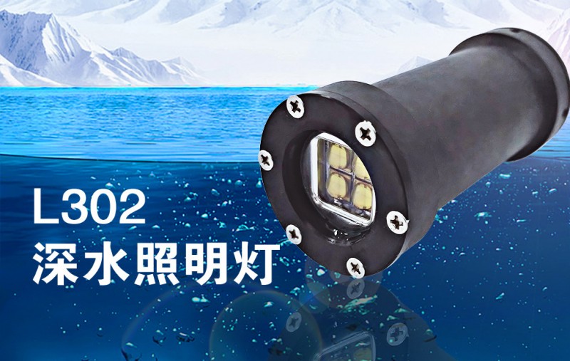 L302_06